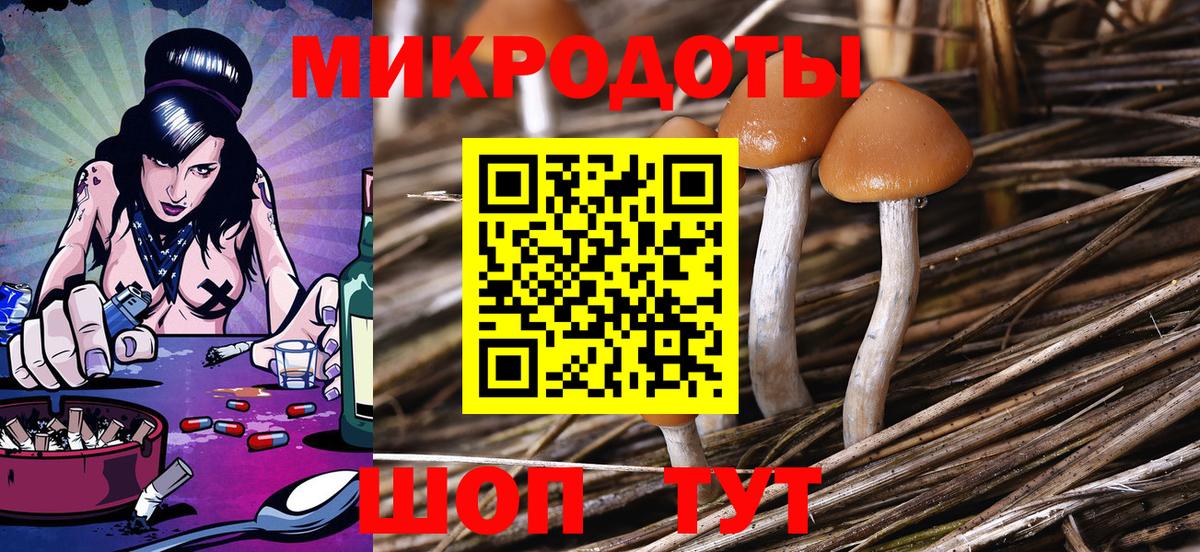 Галлюциногенные грибы Psilocybe Серов