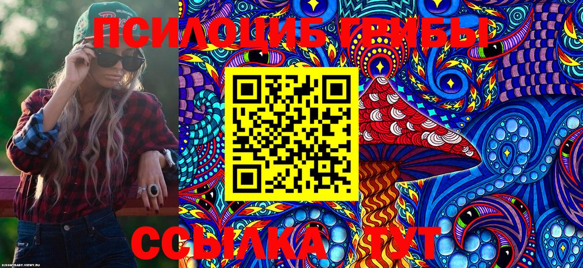Псилоцибиновые грибы Psilocybe  где купить наркотик  Серов 